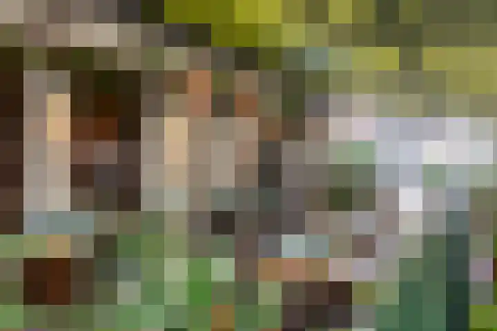 Govert Flinckstraat 117 H Amsterdam thumbnail 35
