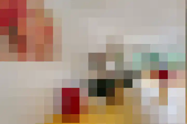 Govert Flinckstraat 12 Ommen thumbnail 10