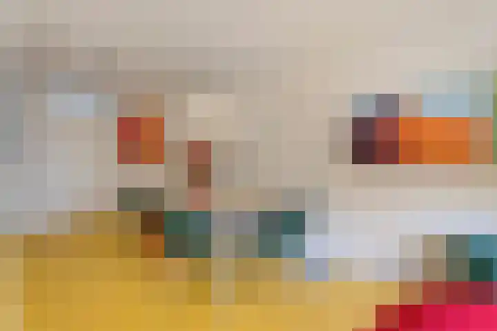 Govert Flinckstraat 12 Ommen thumbnail 14