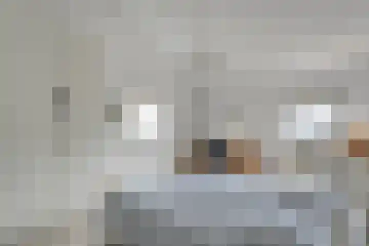 Govert Flinckstraat 12 Ommen thumbnail 21