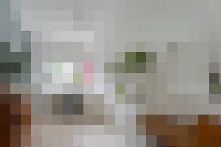 Govert Flinckstraat 12 Ommen thumbnail 25