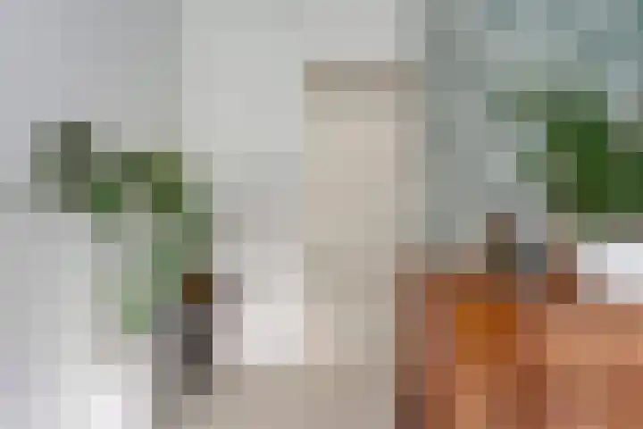 Govert Flinckstraat 12 Ommen thumbnail 26