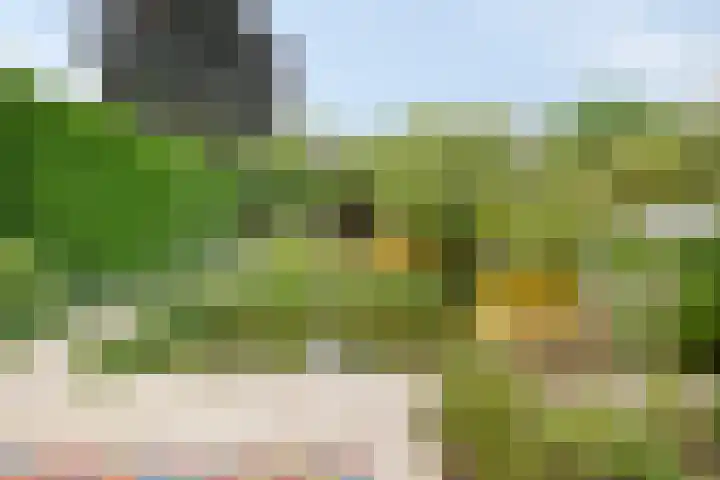 Govert Flinckstraat 12 Ommen thumbnail 34