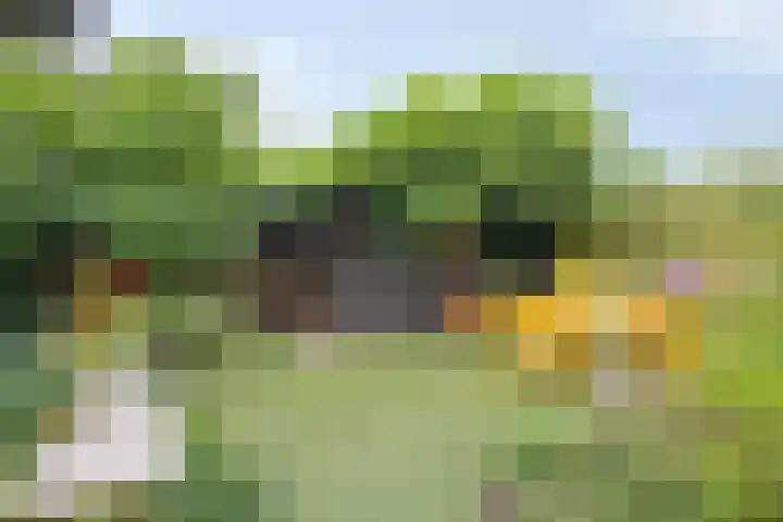 Govert Flinckstraat 12 Ommen thumbnail 36