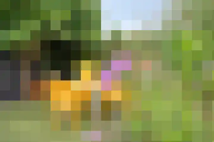Govert Flinckstraat 12 Ommen thumbnail 37