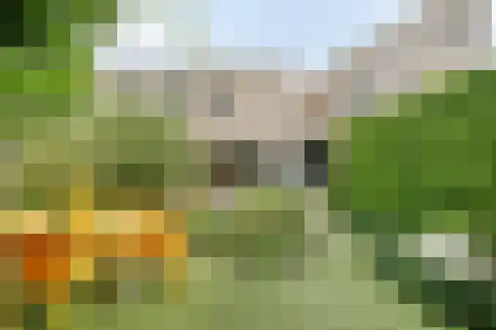 Govert Flinckstraat 12 Ommen thumbnail 39