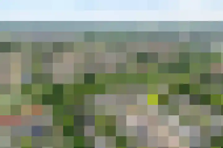 Govert Flinckstraat 12 Ommen thumbnail 4