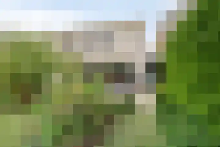 Govert Flinckstraat 12 Ommen thumbnail 41