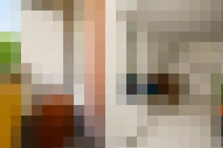 Govert Flinckstraat 121 H Amsterdam thumbnail 9