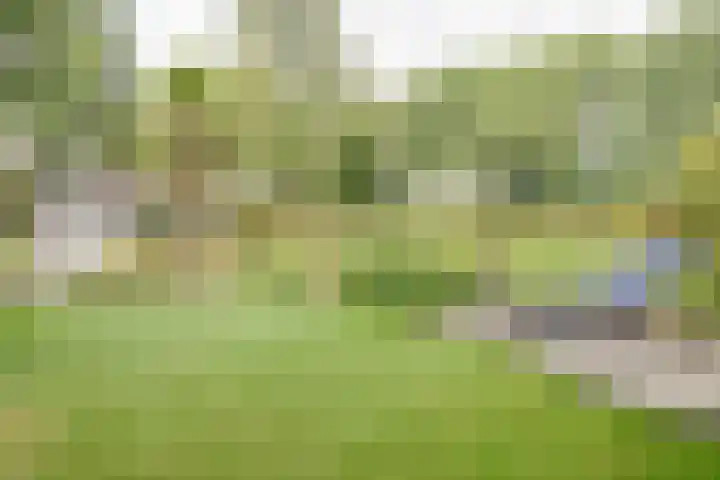 Govert Flinckstraat 126 Apeldoorn thumbnail 44