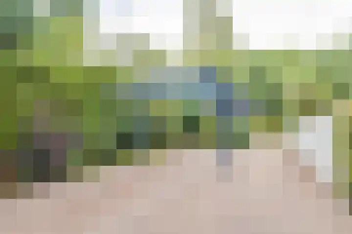 Govert Flinckstraat 126 Apeldoorn thumbnail 57
