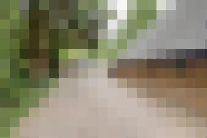 Govert Flinckstraat 126 Apeldoorn thumbnail 58