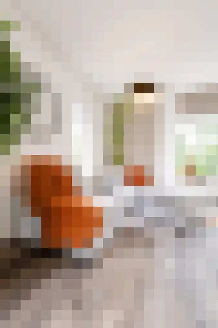 Govert Flinckstraat 126 Apeldoorn thumbnail 8