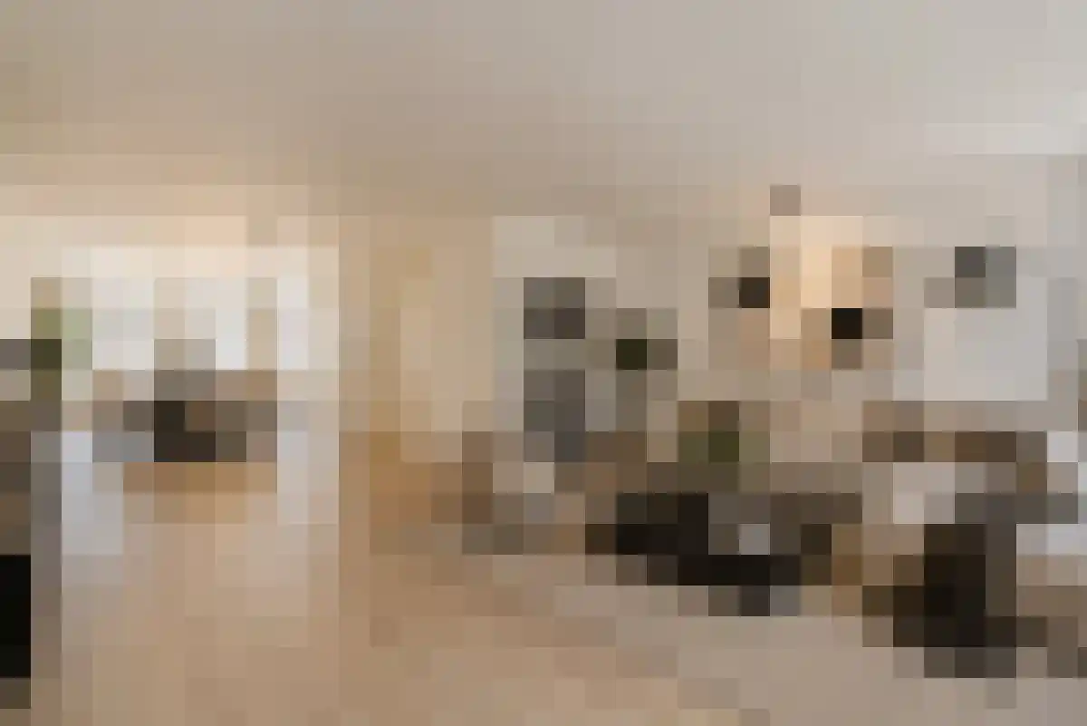 Govert Flinckstraat 129 3 Amsterdam thumbnail 5