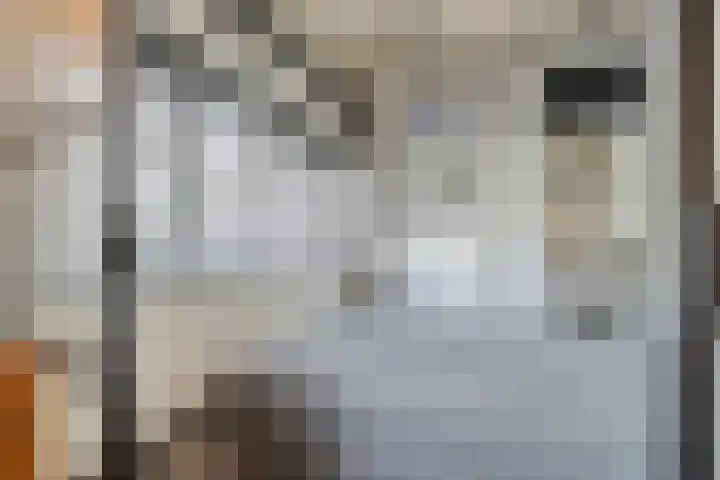 Govert Flinckstraat 13 A Zwolle thumbnail 16
