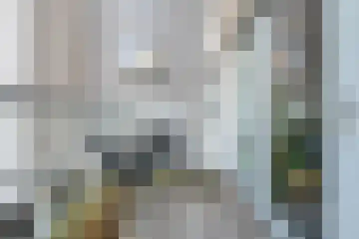 Govert Flinckstraat 13 A Zwolle thumbnail 21