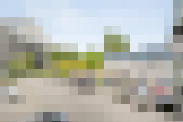 Govert Flinckstraat 13 A Zwolle thumbnail 22