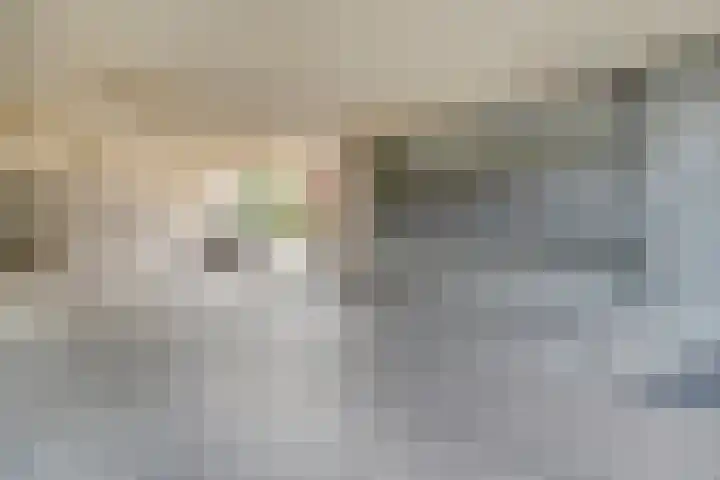 Govert Flinckstraat 13 A Zwolle thumbnail 6