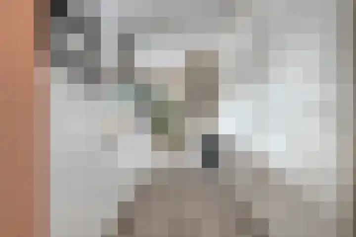 Govert Flinckstraat 13 B Zwolle thumbnail 11