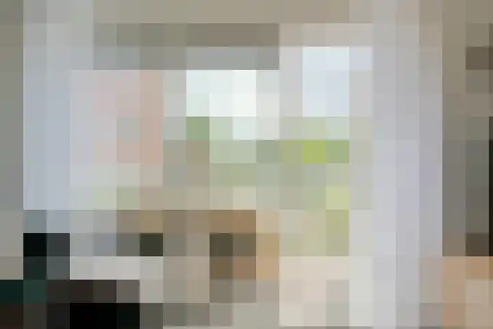 Govert Flinckstraat 13 B Zwolle thumbnail 18