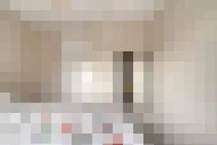 Govert Flinckstraat 13 B Zwolle thumbnail 20