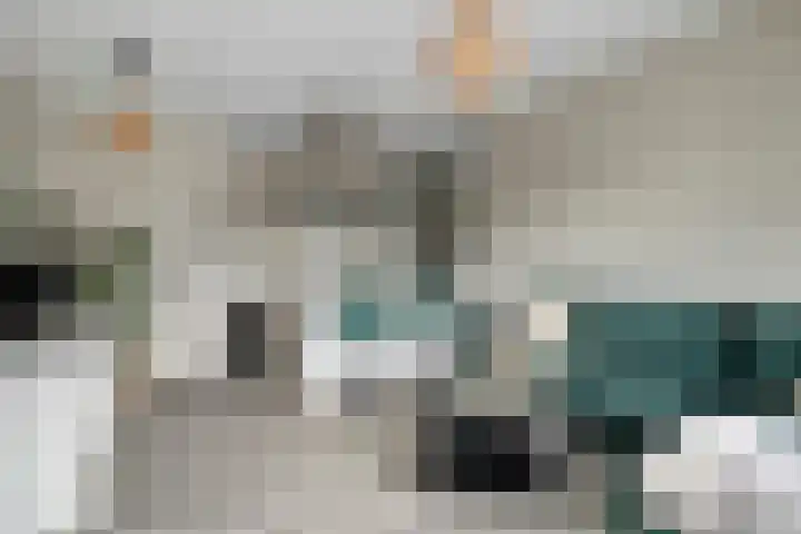 Govert Flinckstraat 13 B Zwolle thumbnail 32