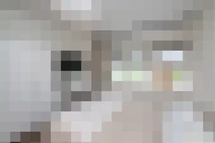 Govert Flinckstraat 13 E Zwolle thumbnail 10