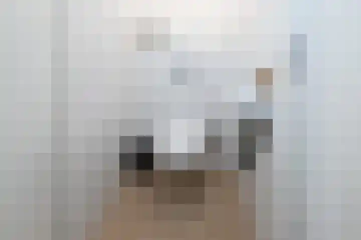 Govert Flinckstraat 13 E Zwolle thumbnail 14