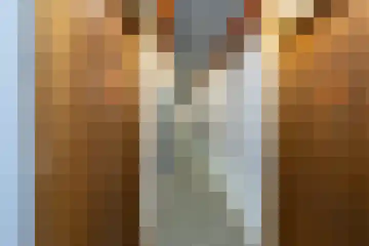 Govert Flinckstraat 13 E Zwolle thumbnail 15