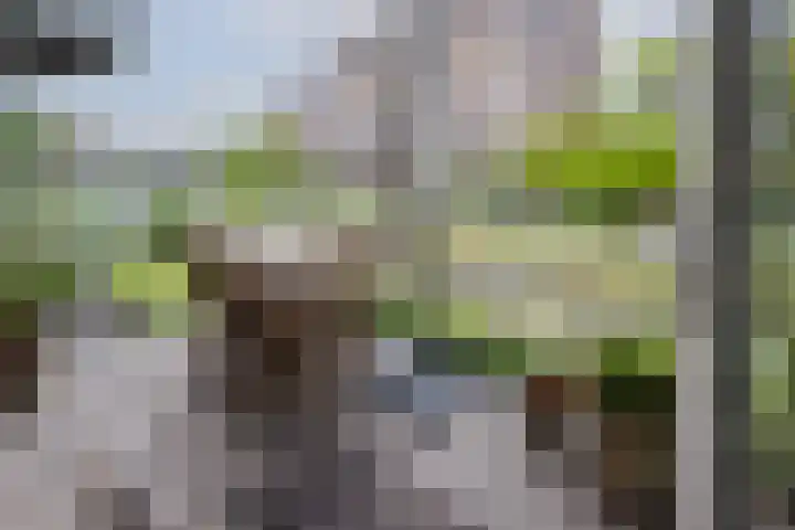 Govert Flinckstraat 13 E Zwolle thumbnail 5