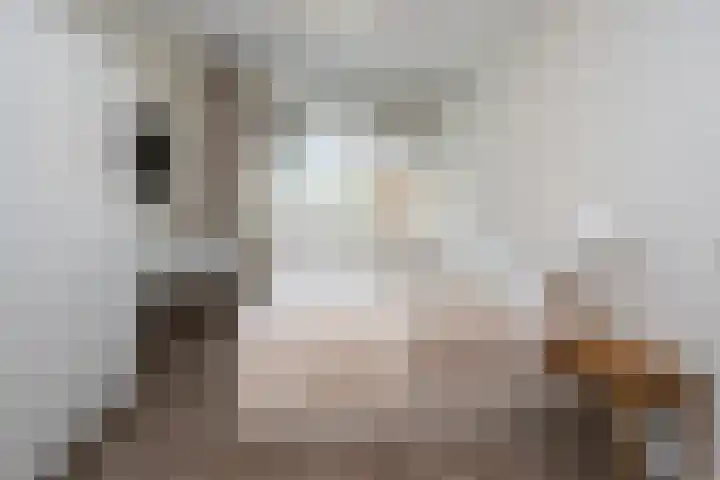 Govert Flinckstraat 13 E Zwolle thumbnail 9