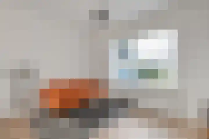 Govert Flinckstraat 14 Zwolle thumbnail 12