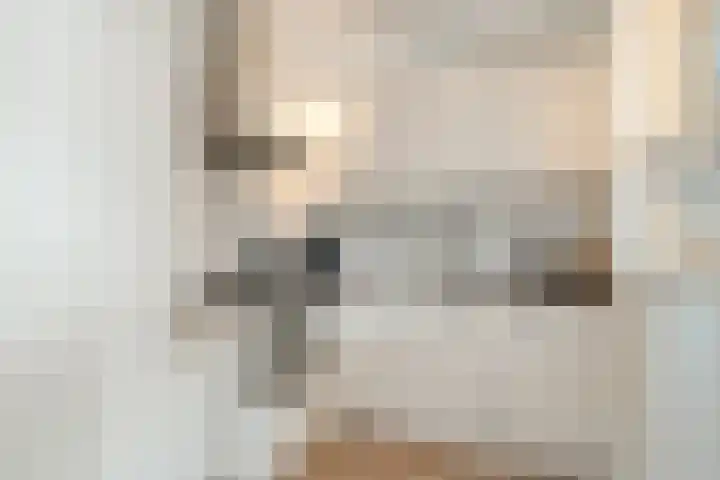 Govert Flinckstraat 14 Zwolle thumbnail 17