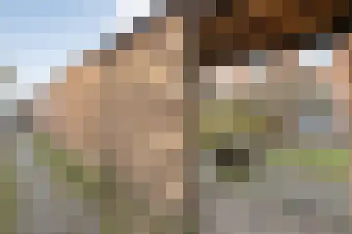 Govert Flinckstraat 14 Zwolle thumbnail 30