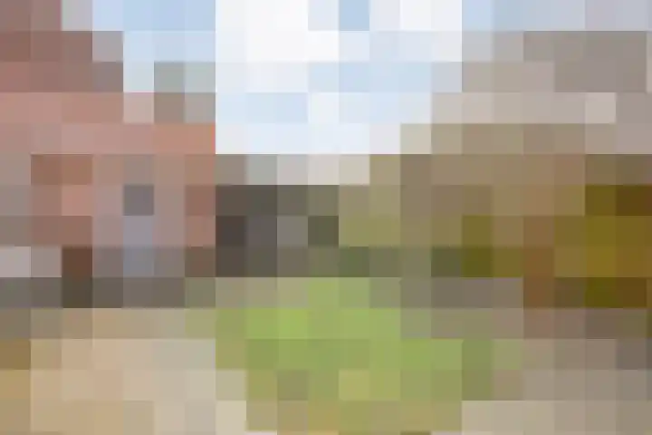 Govert Flinckstraat 14 Zwolle thumbnail 31