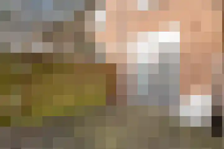 Govert Flinckstraat 14 Zwolle thumbnail 32