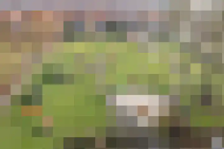 Govert Flinckstraat 14 Zwolle thumbnail 34