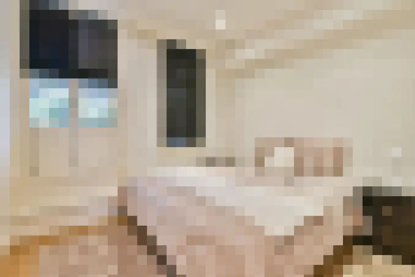 Govert Flinckstraat 141 A Amsterdam thumbnail 11