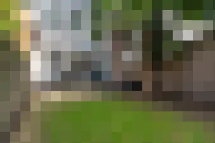 Govert Flinckstraat 142 2 Amsterdam thumbnail 22