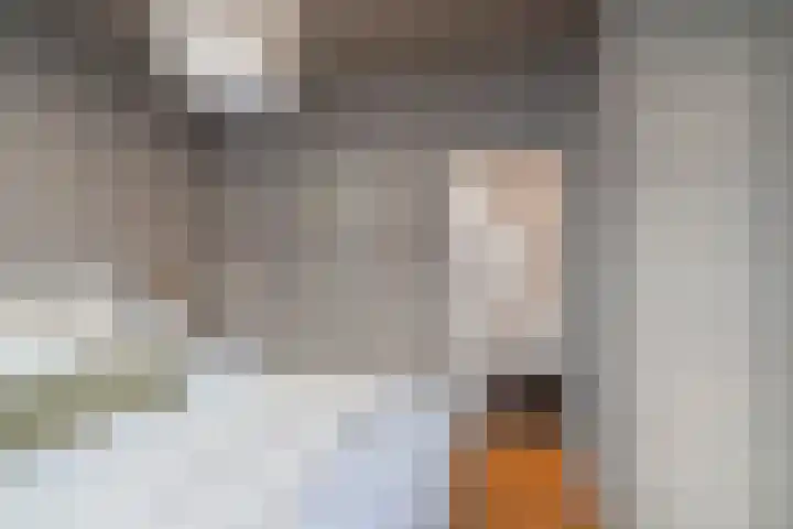 Govert Flinckstraat 142 2 Amsterdam thumbnail 28