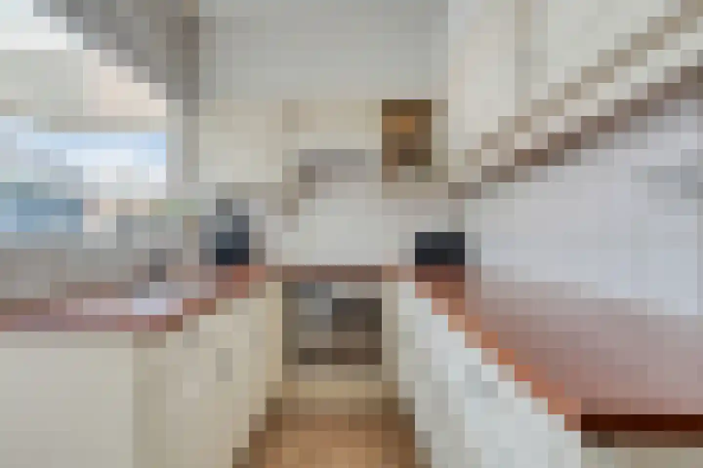Govert Flinckstraat 16 Haaksbergen thumbnail 14