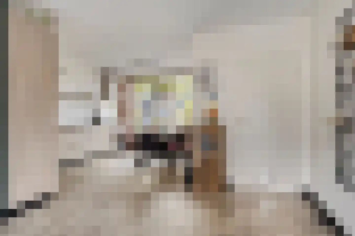 Govert Flinckstraat 16 Papendrecht thumbnail 11