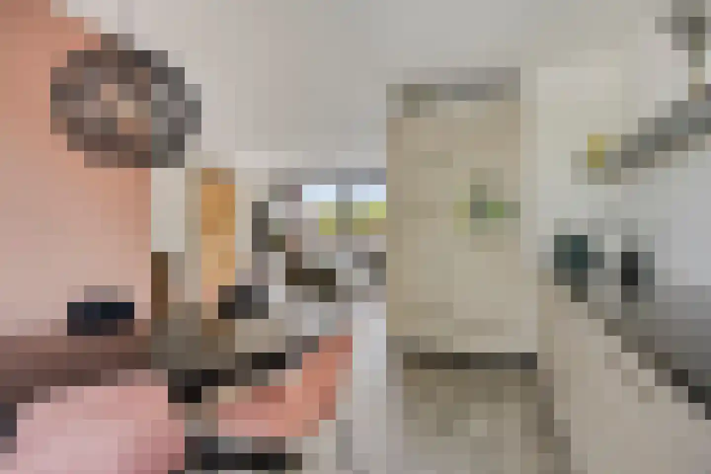 Govert Flinckstraat 16 Papendrecht thumbnail 12