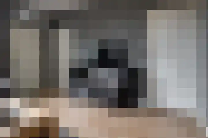 Govert Flinckstraat 17 Almelo thumbnail 13