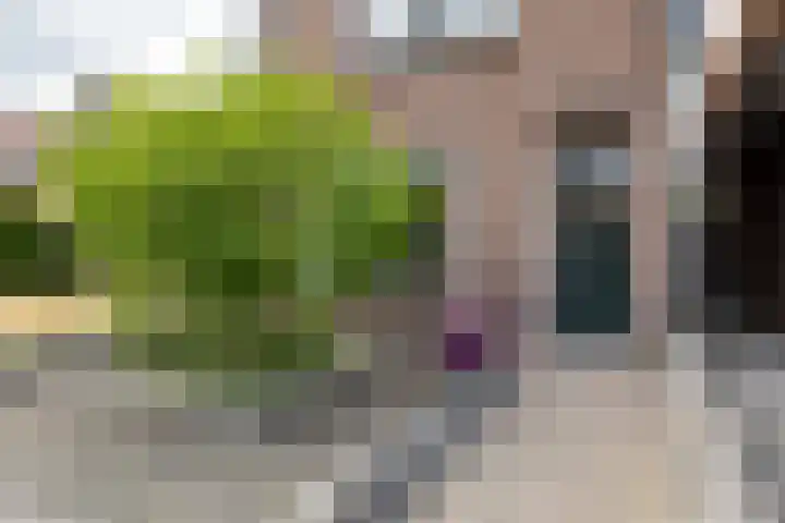 Govert Flinckstraat 17 Almelo thumbnail 39