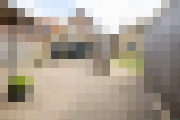 Govert Flinckstraat 17 Almelo thumbnail 6