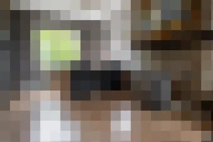 Govert Flinckstraat 17 Almelo thumbnail 9