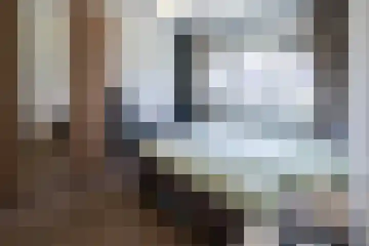 Govert Flinckstraat 17 D Zwolle thumbnail 10