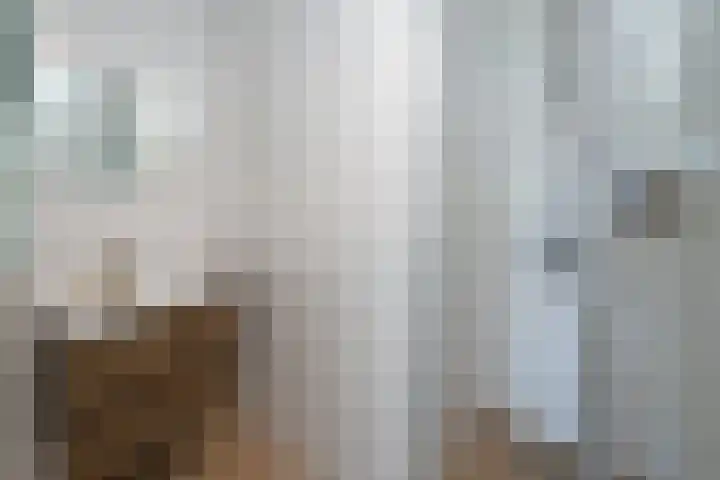 Govert Flinckstraat 17 D Zwolle thumbnail 13