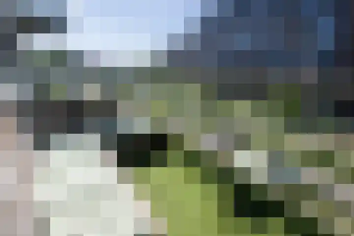 Govert Flinckstraat 17 D Zwolle thumbnail 8
